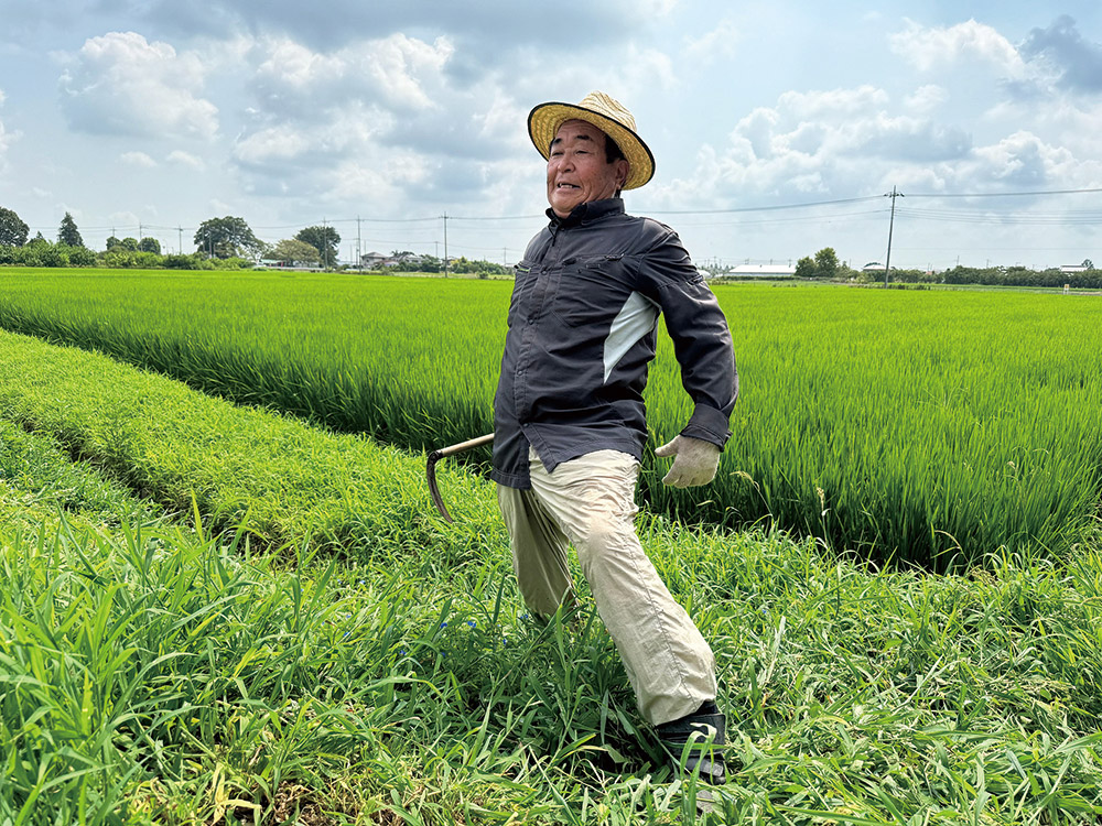 「草かりの休けい」