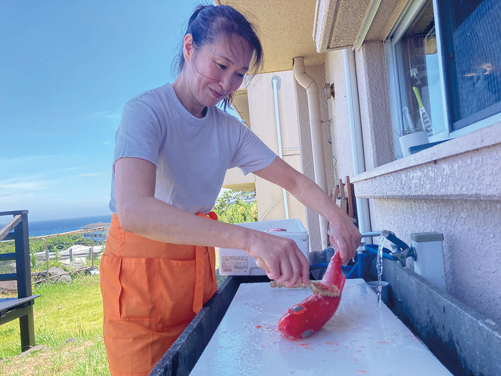 「海と魚と先生」